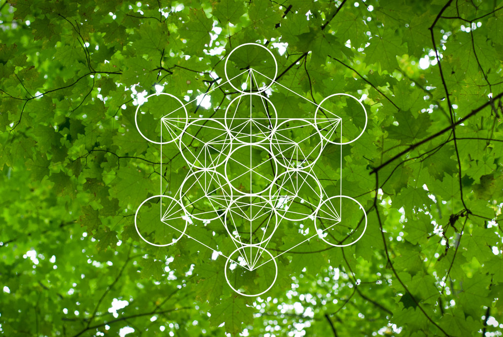 Sacred Geometry in Arts and Nature